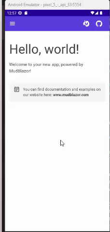.NET MAUI Blazor Hybrid - Usando o MudBlazor